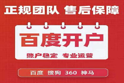 某品牌sem竞价托管代运营的精彩瞬间